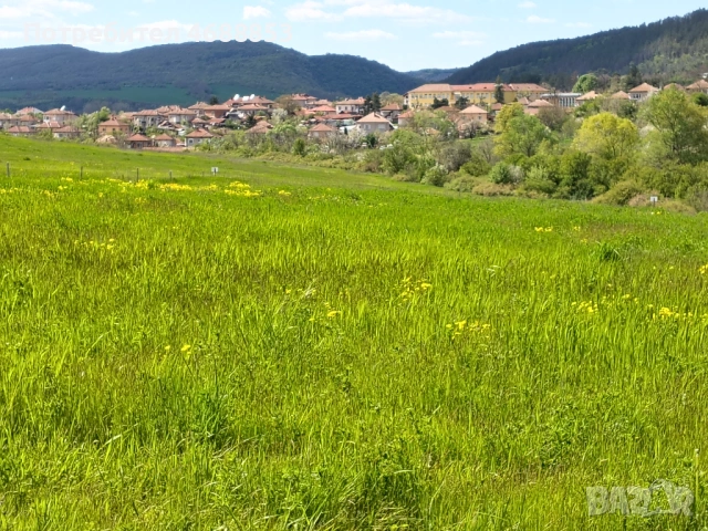 Земеделска земя гр. Дебелец, снимка 2 - Парцели - 54292349