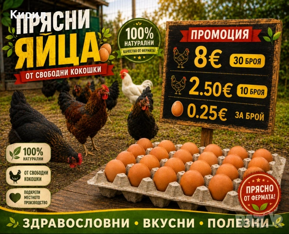 🥚 Домашни яйца от свободно отглеждани кокошки – Пловдив 🐓 