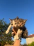 Малки котенца, снимка 1