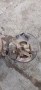 шенкел главина дискове бмв е46 318 118кс bmw e46, снимка 3