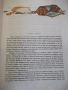 Книга "Дейвид Копърфилд - Чарлз Дикенс" - 72 стр., снимка 4