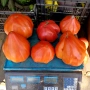 Разсад - Домати, снимка 9