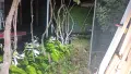 Лед бар перфектен , снимка 4