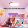 Предно RGB интелигентно таванно осветление, снимка 2