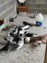 Пазарджишки високо летци, снимка 2