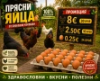 🥚 Домашни яйца от свободно отглеждани кокошки – Пловдив 🐓 , снимка 1