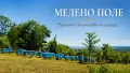 Натурален пчелен мед - Букет от Пчеларска ферма Медено поле, снимка 4