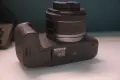 Canon R8 + RF 50mm f/1.8 STM, снимка 6