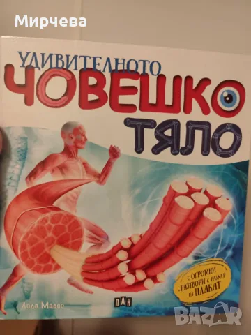Енциклопедии за човешкото тяло