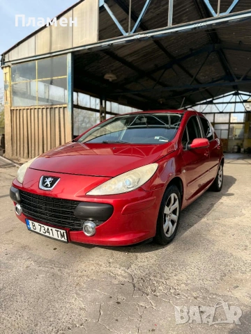 Peugeot 307 , снимка 2 - Автомобили и джипове - 54252290