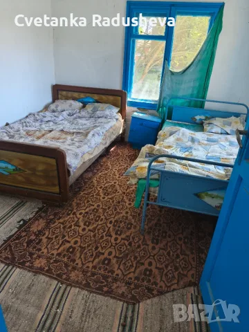 Продавам къща и двор с изглед към р. Дунав, снимка 9 - Къщи - 55469993