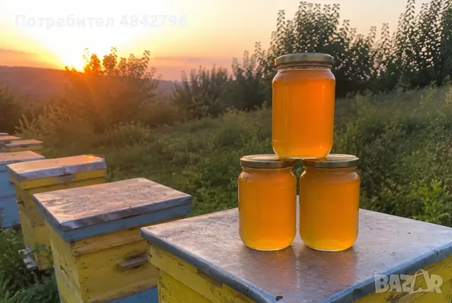 Пчелен мед слънчоглед