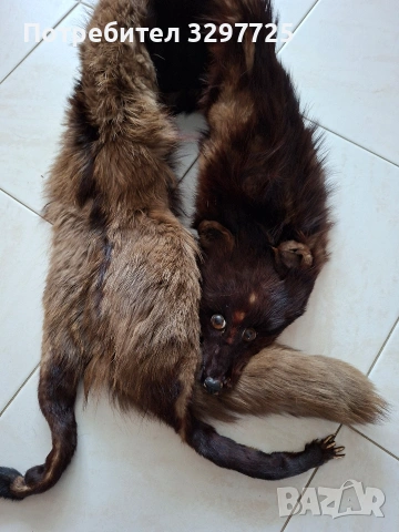 Кожухчета от лисица!, снимка 10 - Палта, манта - 53996386