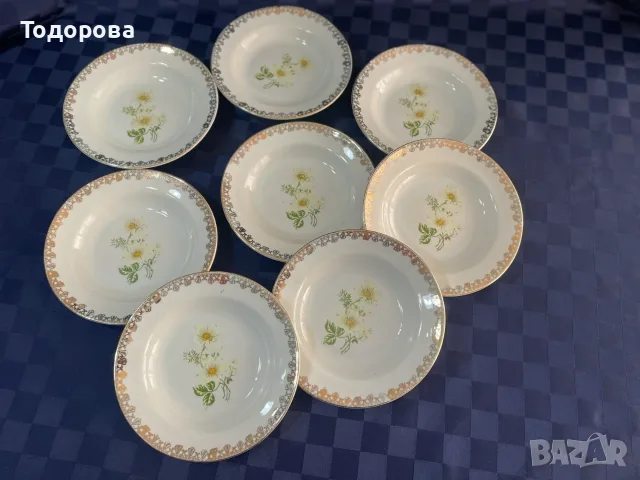 Порцеланови чинии -Коста Йорданов -Видин