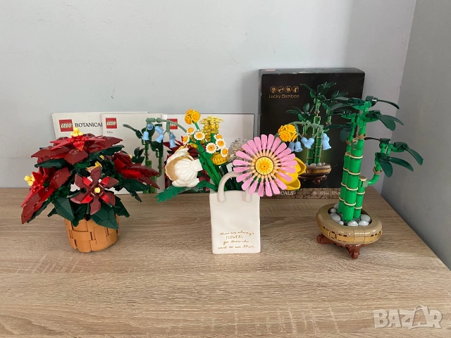 LEGO Botanicals & Icons - Коледна звезда, бамбук, слънчев букет