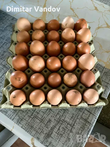 Пресни кокоши и пъдпъдъчи яйца , снимка 5 - Домашни продукти - 55338116