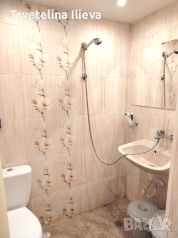 АВТЕНТИЧЕН имот БИЗНЕС потенциал  с. Дълбоки, Старозагорско/ AUTHENTIC property, BUSINESS potential , снимка 9 - Къщи - 54709840