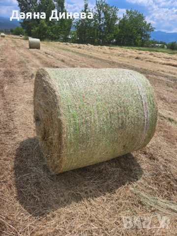 Продавам ролони бали сено