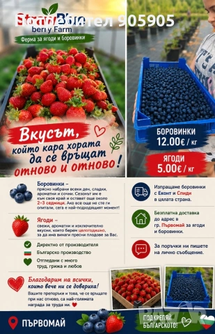 Боровинки и ягоди плод