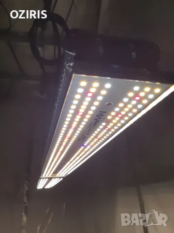 MARS HYDRO SP 250 led grow light, снимка 4 - Лед осветление - 55539394