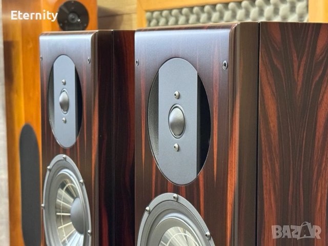 Vienna Acoustics Bach Grand SE, снимка 5 - Тонколони - 55052279