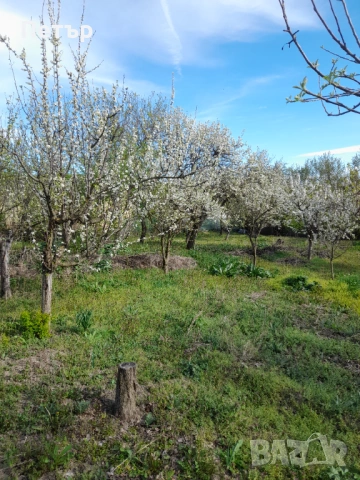 Продавам къща в село Кюлевча 