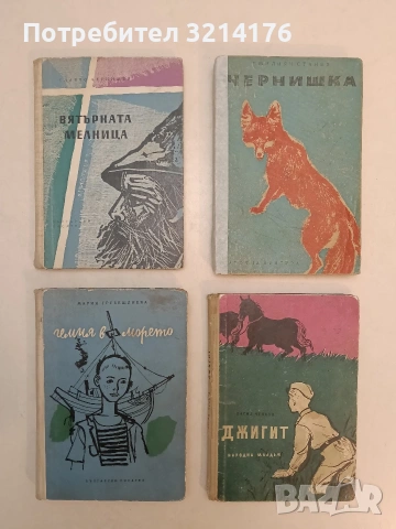 Вятърната мелница - Славчо Чернишев (1962)