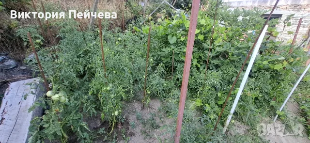 Имот в Кичево от собственик, снимка 7 - Къщи - 55598470