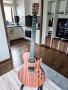 Chapman ML-2, 2015, Korea, снимка 1
