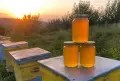 Пчелен мед слънчоглед, снимка 1