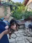 Свободни ловни кучета., снимка 5