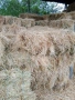 Продавам малкиБали люцерна, първи откос, снимка 1