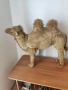 Плюшени играчки камила 🐫, снимка 1