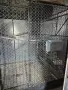 Голяма воалиера Д/Ш/В 250/175/200см, снимка 1