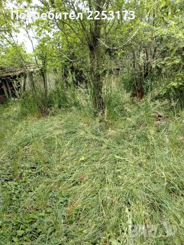 Продавам къща в с.Кръстевич, снимка 10 - Къщи - 54669771