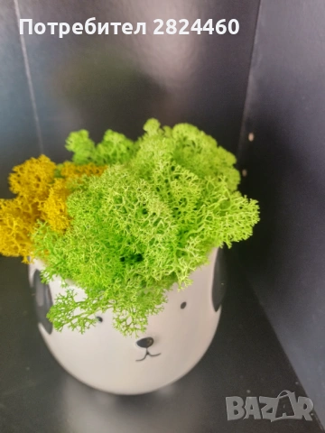 Кашпа със скандинавски мъх