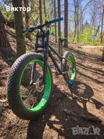 Fat bike freedom 