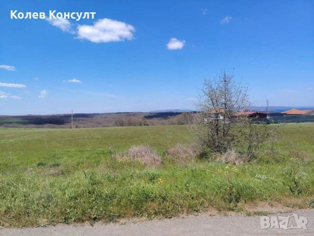 ЗЕМЕДЕЛСКА ЗЕМЯ (Нива) в с. Лозенец, снимка 2 - Земеделска земя - 54255877