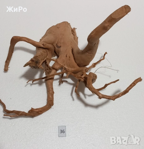 Корен от Азалия /декорация/ 36, снимка 3 - Други - 48966493