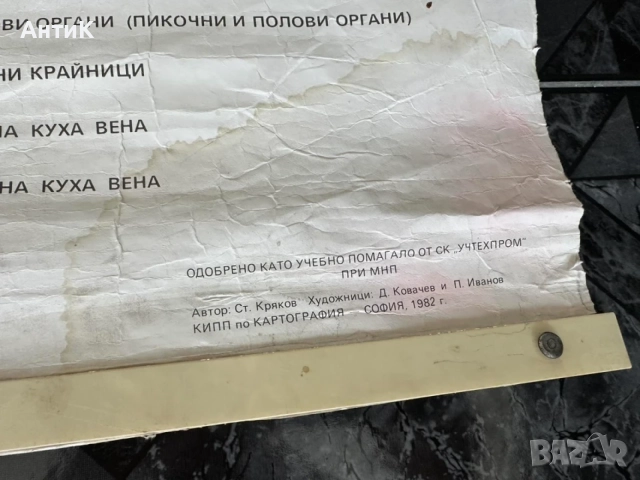 Соц Учебни Медицински Плакати Постери Табла, снимка 6 - Антикварни и старинни предмети - 55691032