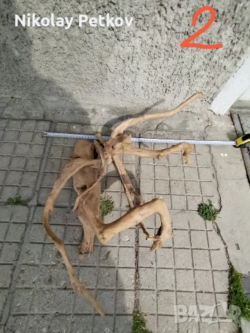 Корени за аквариум и терариум , снимка 3 - Аквариуми - 54393274