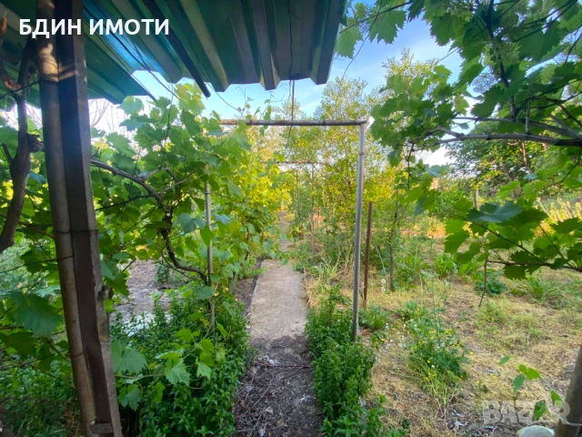 Продавам къща в с.Иново, общ.Видин, снимка 4 - Къщи - 54750655