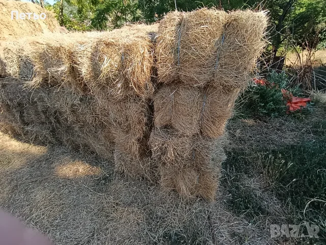 Продавам бали сено