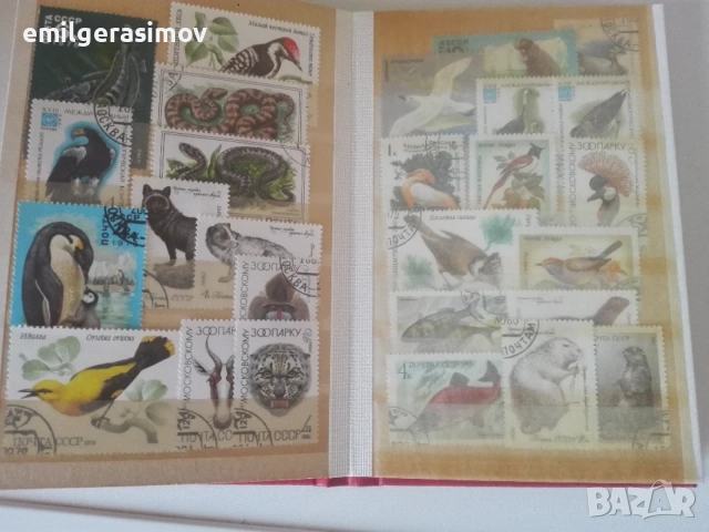 Два класьора с пощенски марки., снимка 7 - Филателия - 55508851