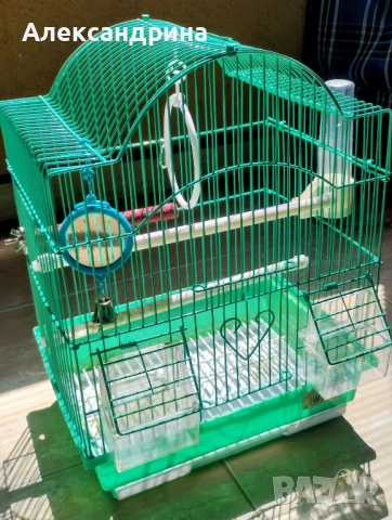 Клетка 