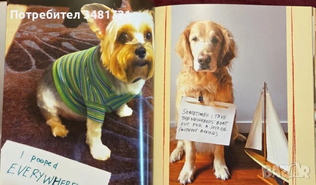 Dog Shaming, снимка 7 - Други - 55064833