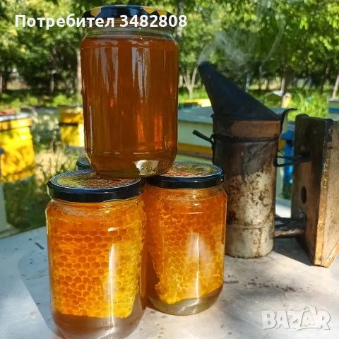 Натурален пчелен мед, снимка 2 - Пчелни продукти - 51625375