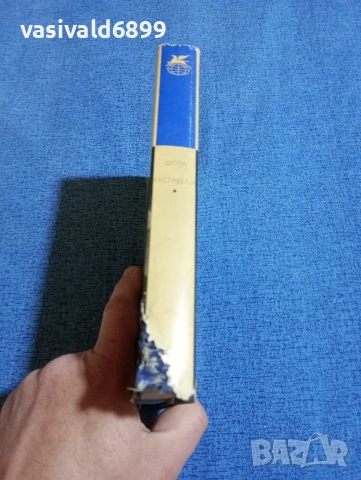 Шота Руставели - Витязът в тигрова кожа , снимка 2 - Художествена литература - 54085910