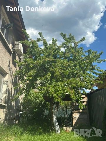 Двуетажна къща Перник Ралица, снимка 9 - Къщи - 55003621