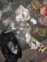 Колекционерски монети , снимка 10